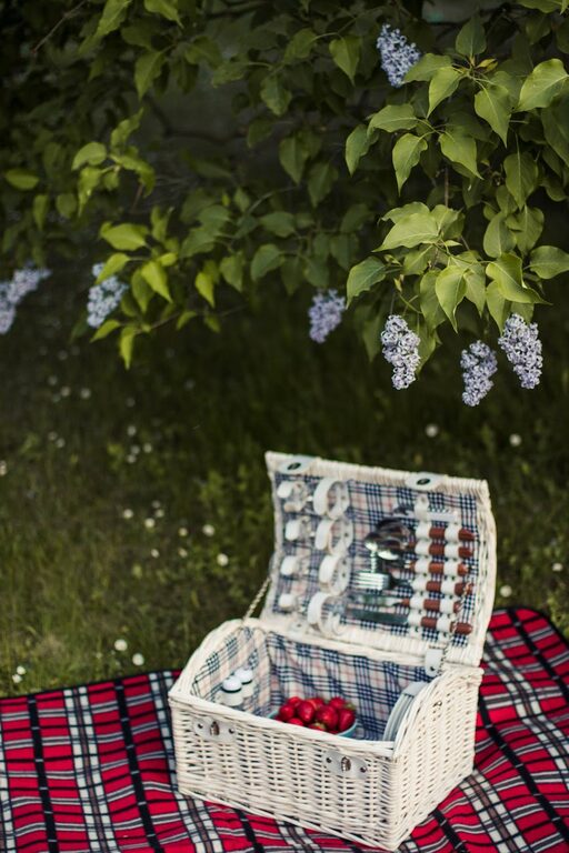 How to Plan a Simple Picnic at a Local Park: A Step-by-Step Guide